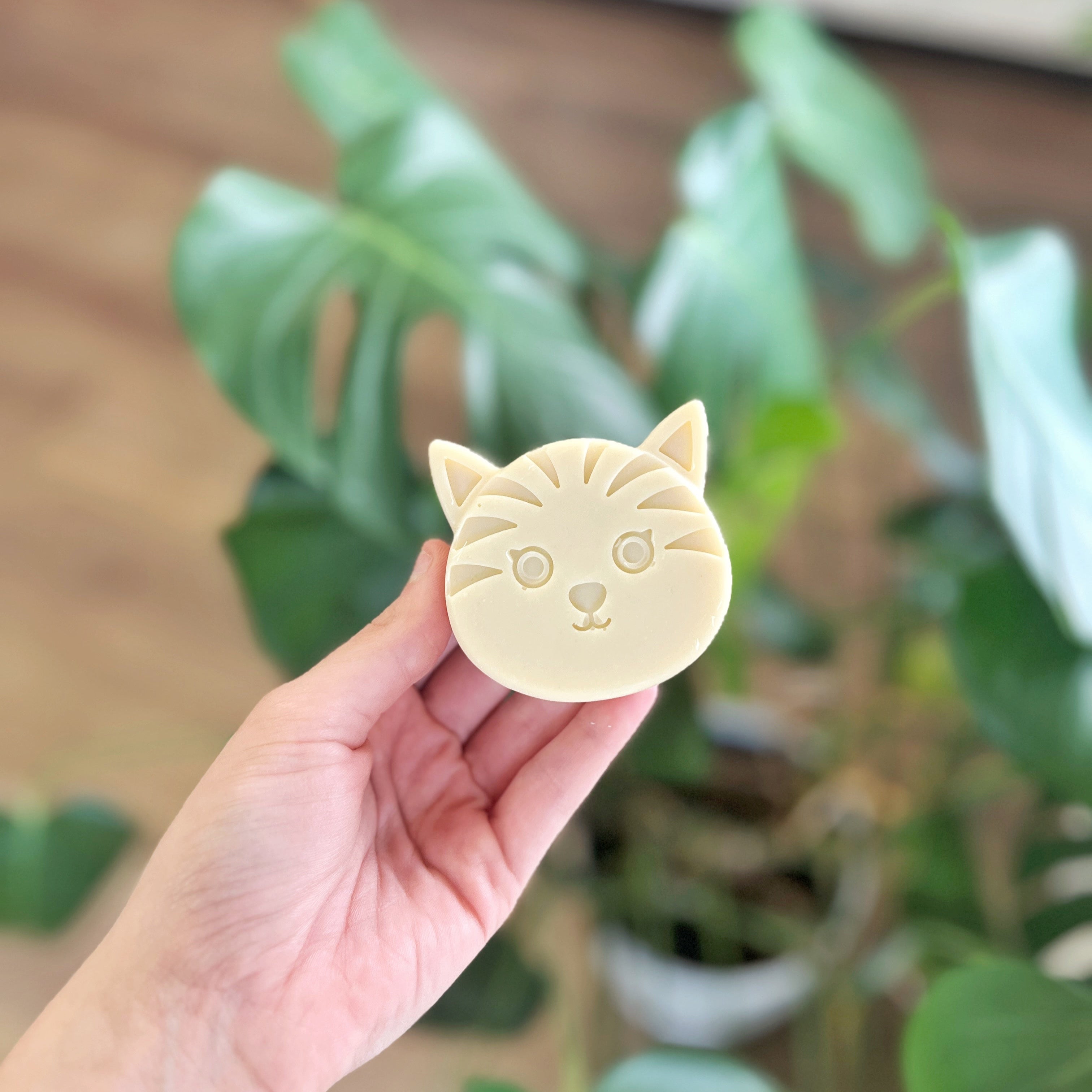 Hand & Body Soap Bar | Kids Soap Collection