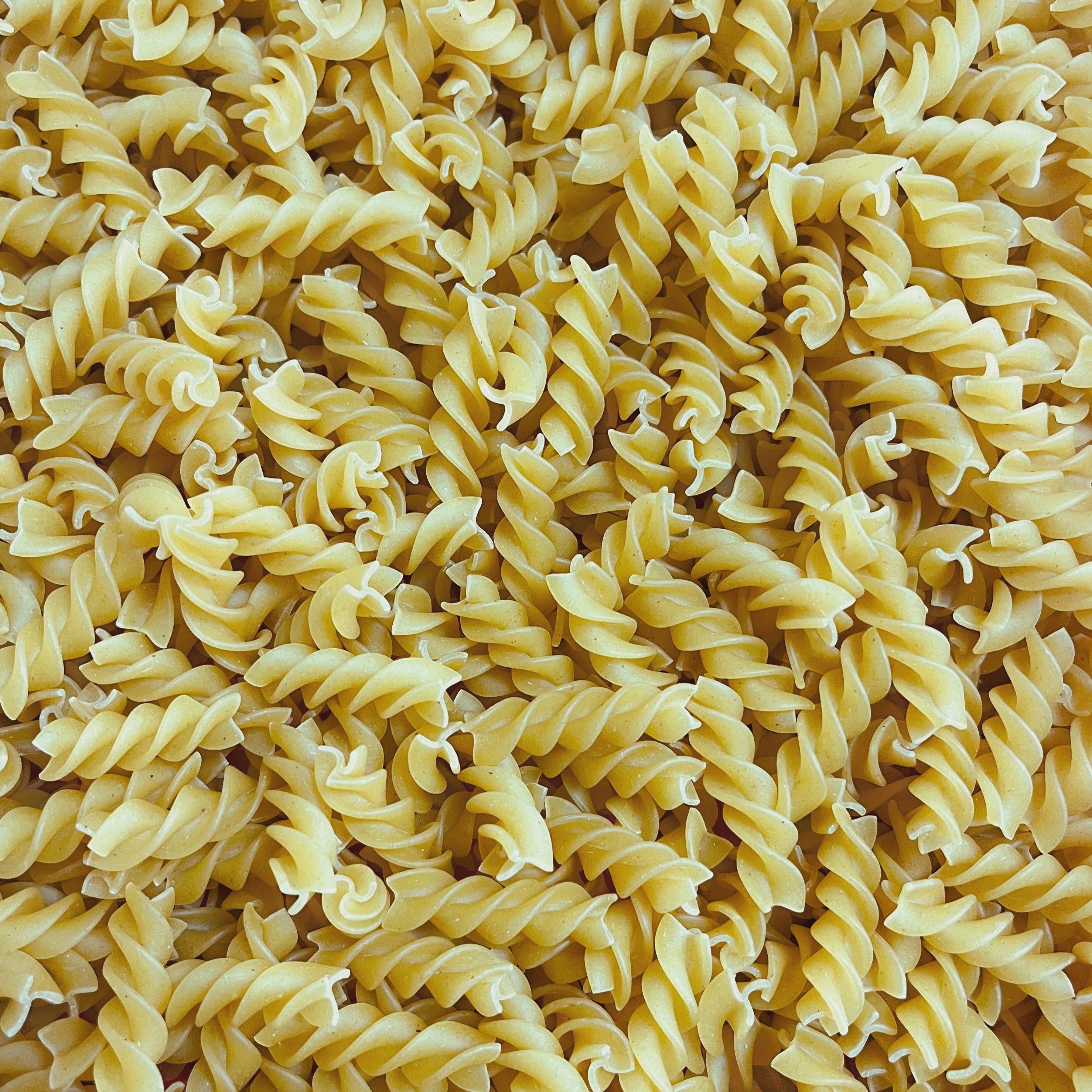 Rotini Pasta Prefill | 1lb Bag