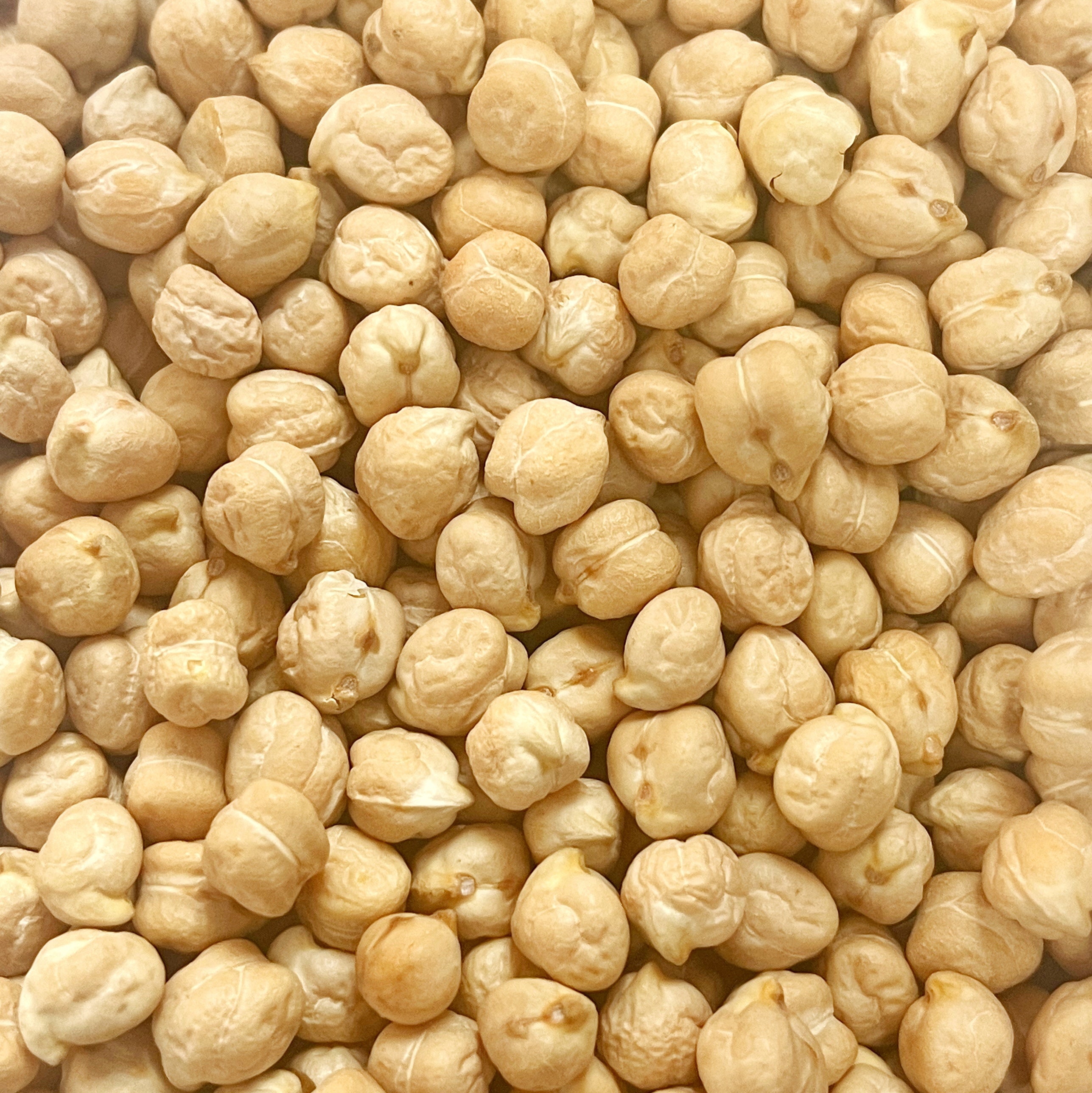 Organic Garbanzo Beans Prefill | 1 lb