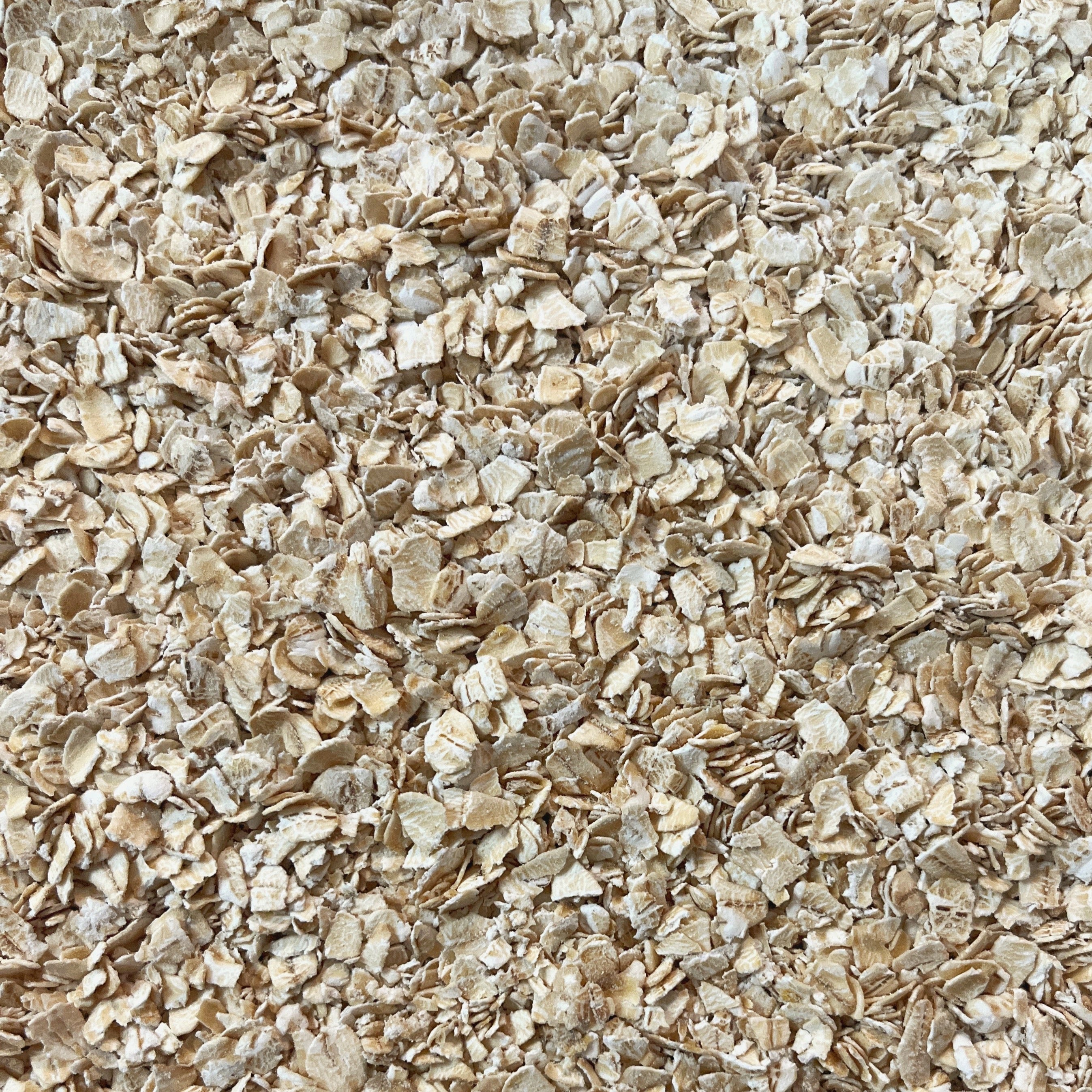 Organic Quick Rolled Oats Prefill | 2lb Bag