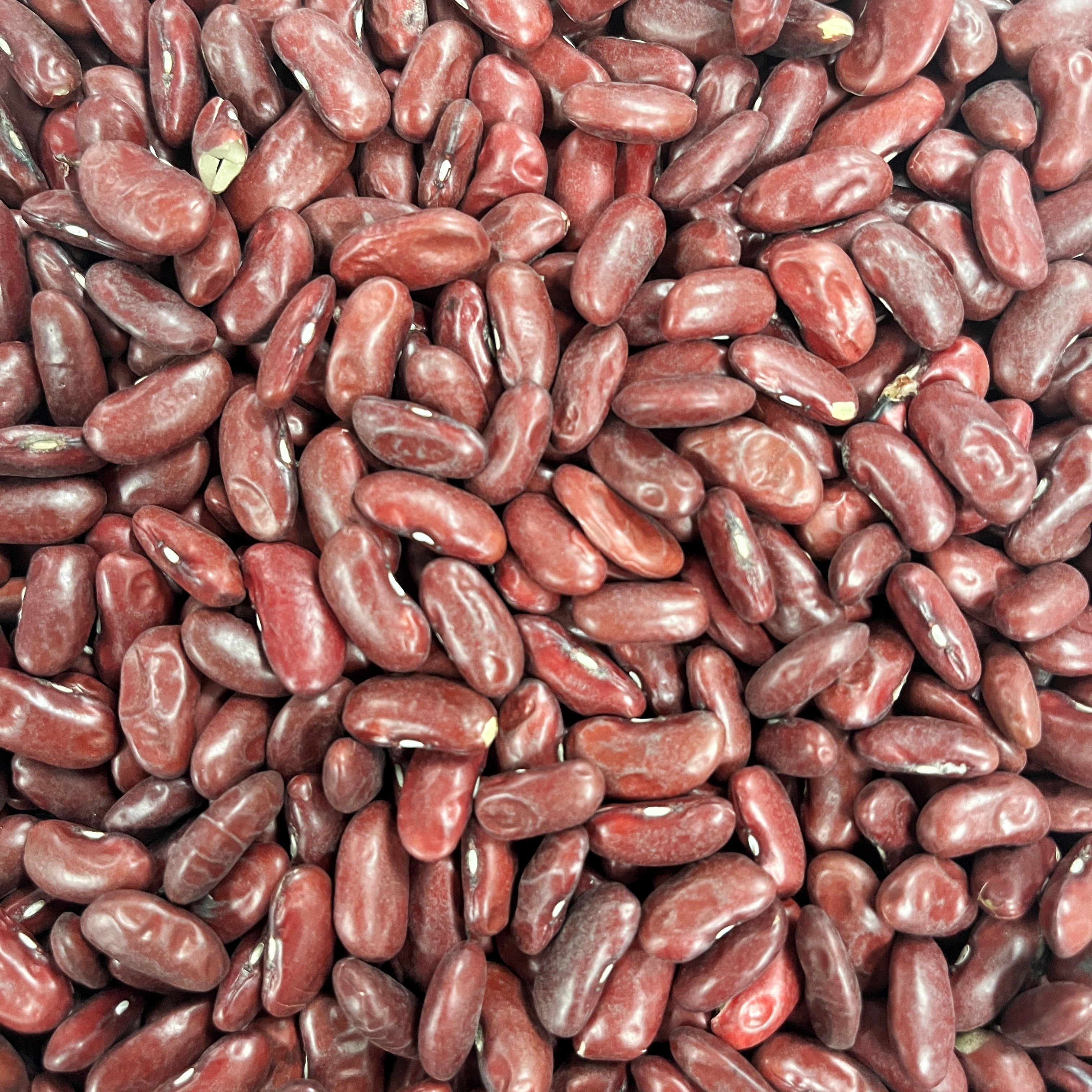 Organic Dark Red Kidney Beans Prefill | 1lb bag