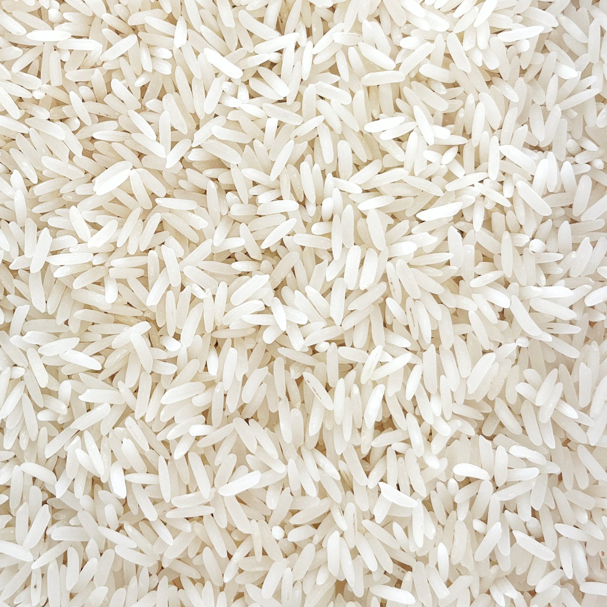 Organic White Jasmine Rice Prefill | 1lb bag