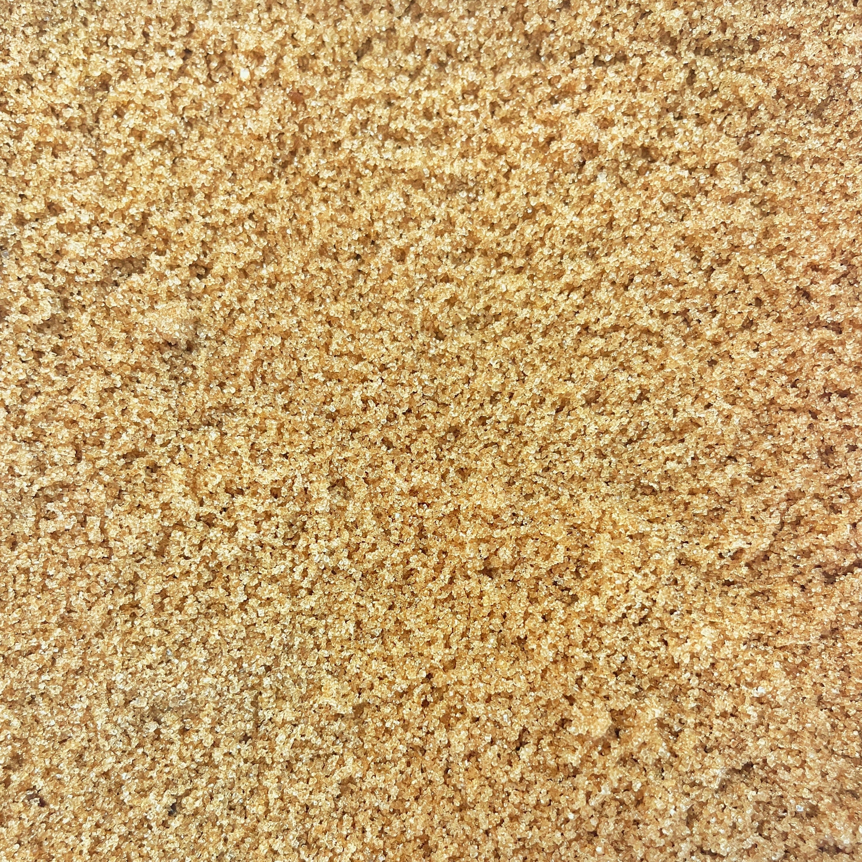 Organic Light Brown Sugar Prefill | 2lb Bag