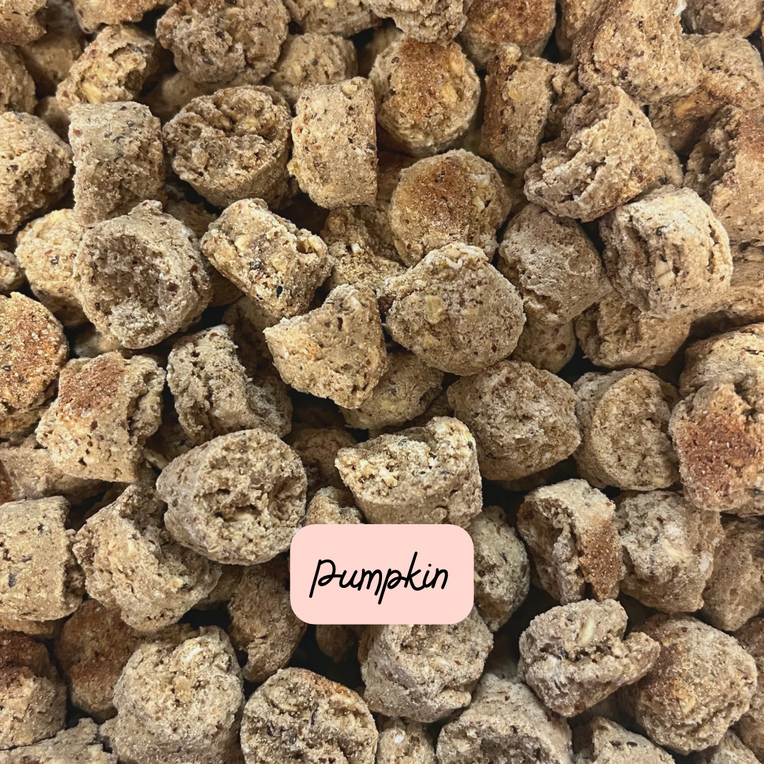 Assorted Dog Treats Prefill | 10 oz. Bag