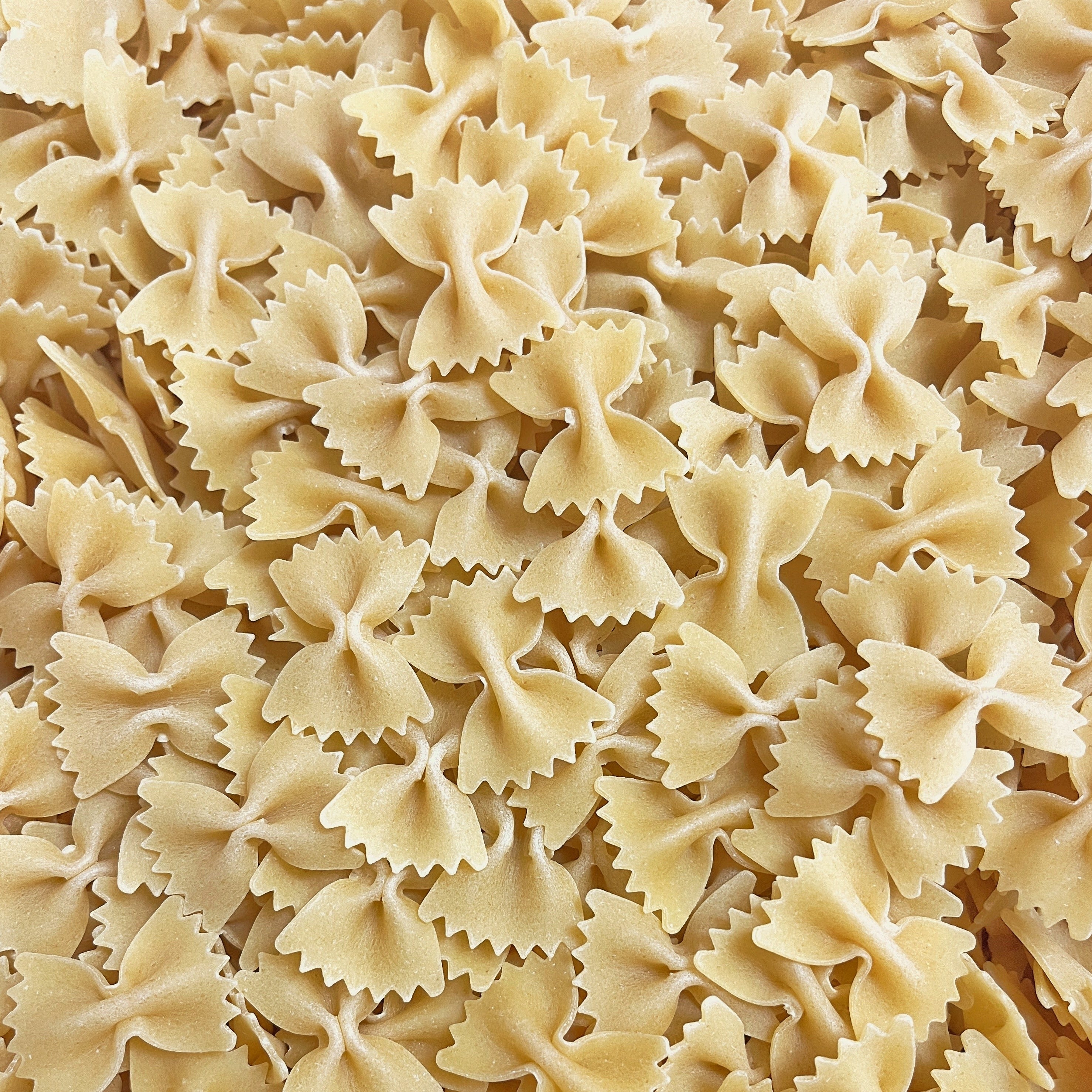 Bowtie Pasta Prefill | 1lb Bag