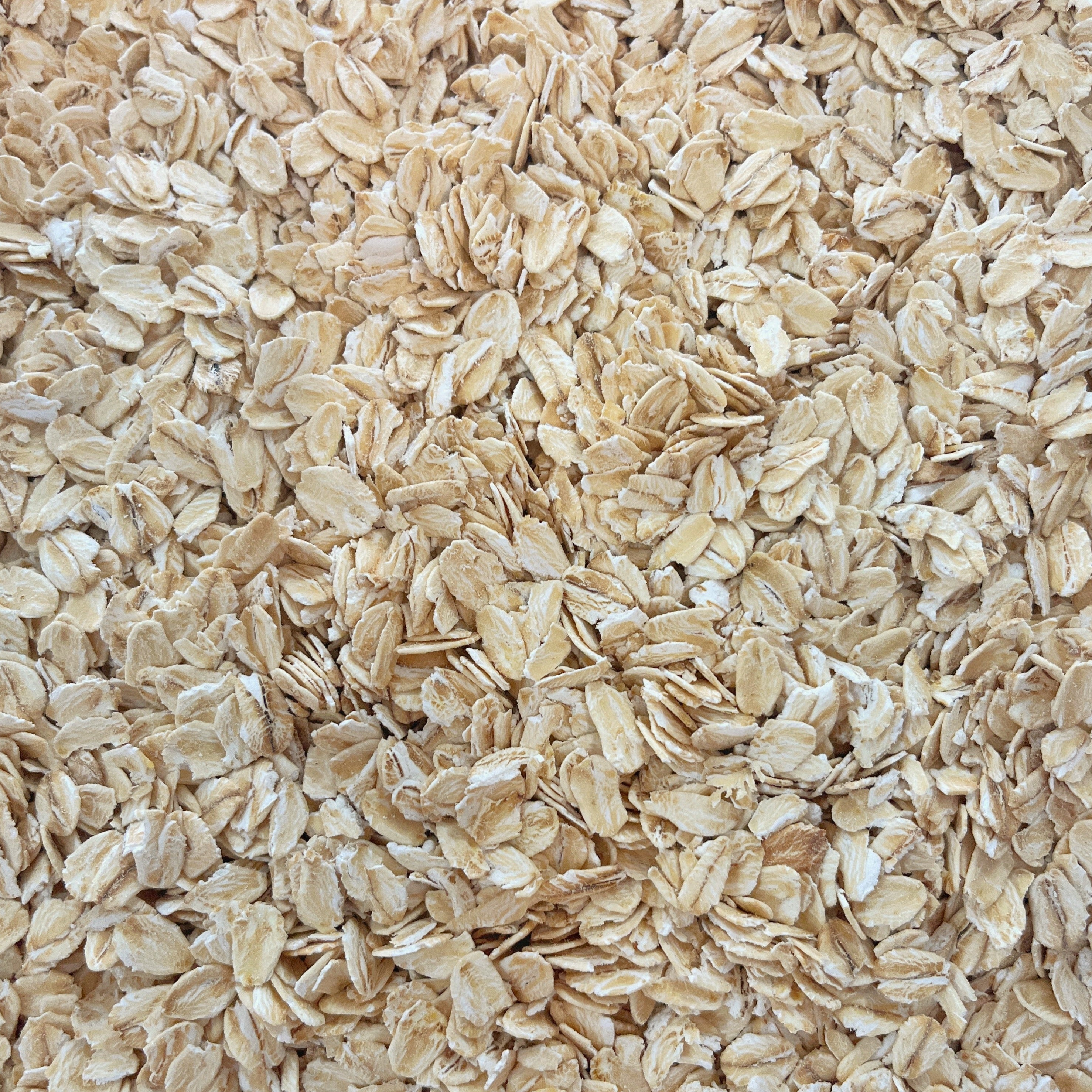 Organic Gluten Free Rolled Oats Prefill | 2 lbs